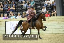 24BUCK_07504 thumbnail