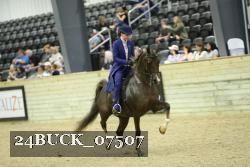 24BUCK_07507 thumbnail