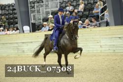 24BUCK_07508 thumbnail