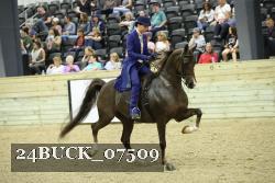 24BUCK_07509 thumbnail