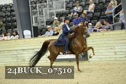 24BUCK_07510 thumbnail