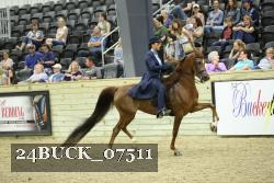 24BUCK_07511 thumbnail