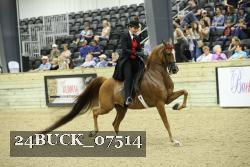 24BUCK_07514 thumbnail