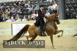 24BUCK_07515 thumbnail