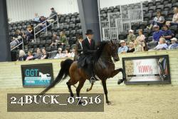 24BUCK_07516 thumbnail