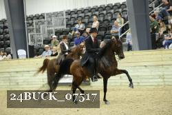 24BUCK_07517 thumbnail