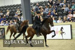 24BUCK_07518 thumbnail