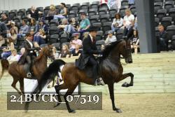 24BUCK_07519 thumbnail