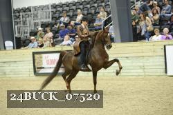 24BUCK_07520 thumbnail