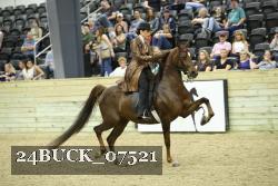 24BUCK_07521 thumbnail