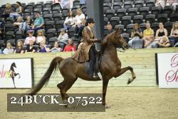 24BUCK_07522 thumbnail