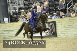 24BUCK_07526 thumbnail
