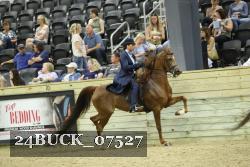 24BUCK_07527 thumbnail
