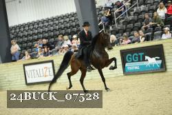 24BUCK_07528 thumbnail