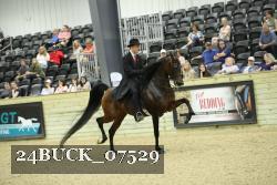 24BUCK_07529 thumbnail