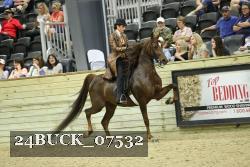 24BUCK_07532 thumbnail