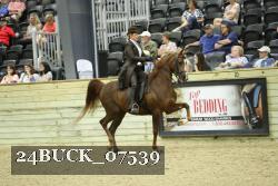 24BUCK_07539 thumbnail