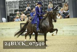 24BUCK_07540 thumbnail