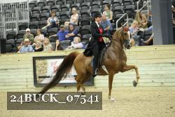 24BUCK_07541 thumbnail