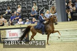 24BUCK_07545 thumbnail