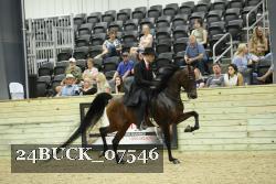 24BUCK_07546 thumbnail
