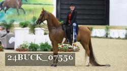 24BUCK_07556 thumbnail