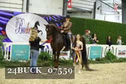 24BUCK_07559 thumbnail