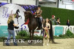 24BUCK_07561 thumbnail