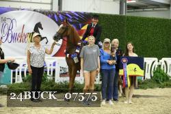 24BUCK_07575 thumbnail