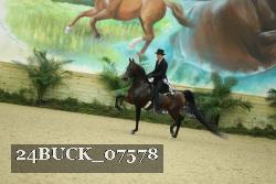 24BUCK_07578 thumbnail