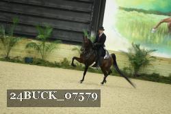 24BUCK_07579 thumbnail