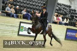 24BUCK_07581 thumbnail