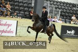 24BUCK_07584 thumbnail