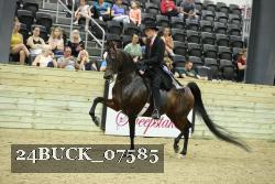 24BUCK_07585 thumbnail