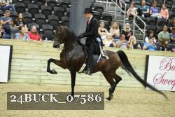 24BUCK_07586 thumbnail