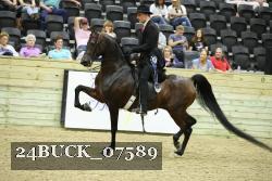 24BUCK_07589 thumbnail