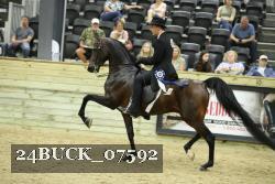 24BUCK_07592 thumbnail