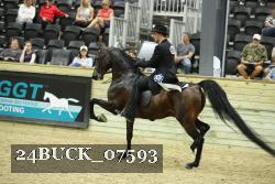 24BUCK_07593 thumbnail