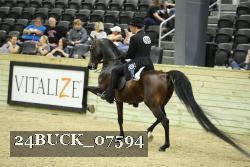 24BUCK_07594 thumbnail