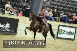 24BUCK_07595 thumbnail