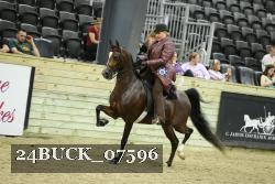 24BUCK_07596 thumbnail