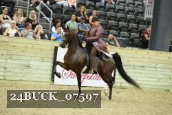 24BUCK_07597 thumbnail