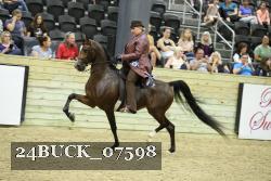 24BUCK_07598 thumbnail