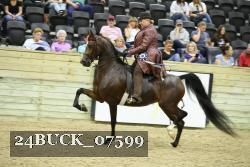 24BUCK_07599 thumbnail