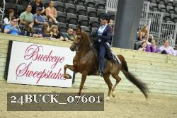 24BUCK_07601 thumbnail