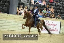 24BUCK_07602 thumbnail