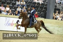 24BUCK_07603 thumbnail