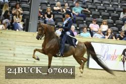 24BUCK_07604 thumbnail