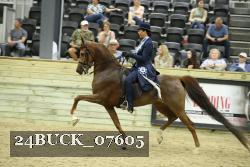 24BUCK_07605 thumbnail