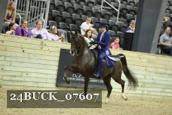 24BUCK_07607 thumbnail